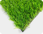 KOLON GLOTECH | تكنولوجيا الغزل تصنيع العشب الصناعي عالي الجودة والصديق للبيئة Curve