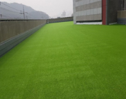 KOLON GLOTECH | تكنولوجيا الغزل تصنيع العشب الصناعي عالي الجودة والصديق للبيئة Curve