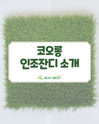 코오롱 인조잔디 소개